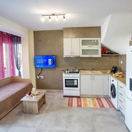 Rent House Diamond Apartment Nea Iraklitsa